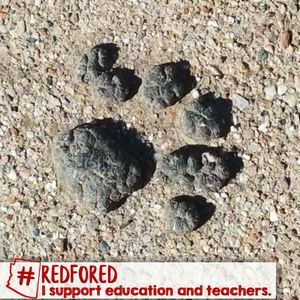 Meet your Posher, Jodi